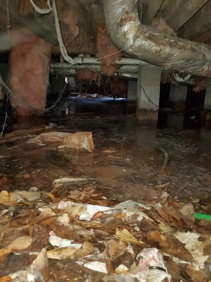 Crawl space flood assessment for Commercial Water Damage Restoration in Rye