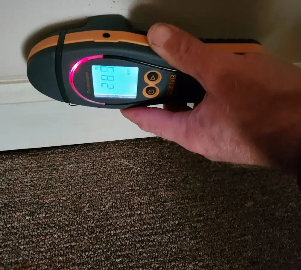 Moisture detection at baseboard during Sewage Cleanup & Sanitation in Rye